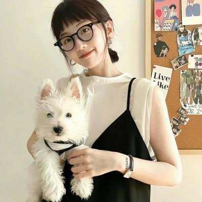 蓝徽特攻队
